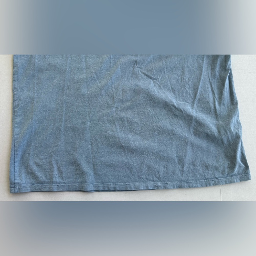Patagonia Crewneck T-Shirt in Faded Blue - Picture 7 of 10